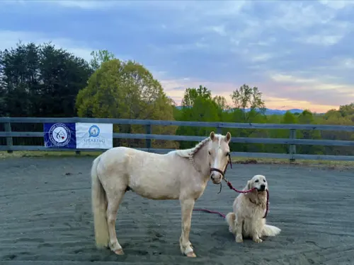 Our Animals, Dubach, LA Our Animals, Dubach, LA